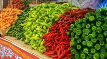 قفزة جديدة.. أسعار الخضراوات اليوم تسجل رقمًا غير متوقعًا والطماطم بـ15 جنيهًا 1